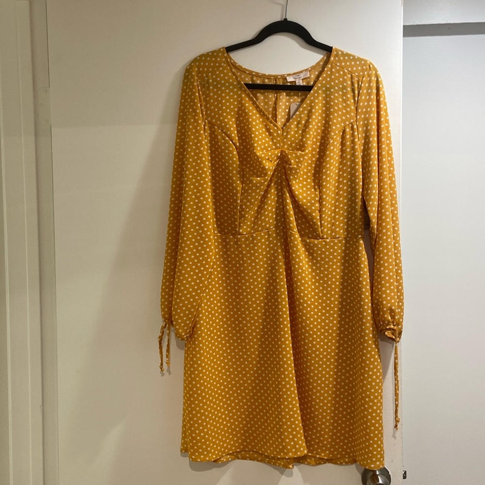 Beautiful Como Vintage Dress NWT